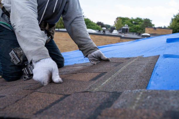 Best Shingle Roofing Installation  in Danville, KY