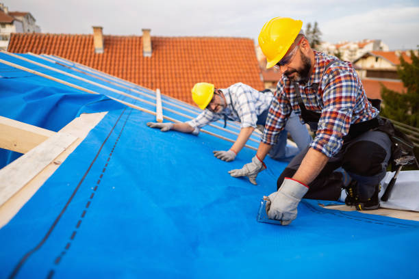 Best Roof Repair Services  in Danville, KY
