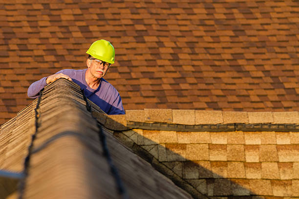 Best Roof Gutter Cleaning  in Danville, KY